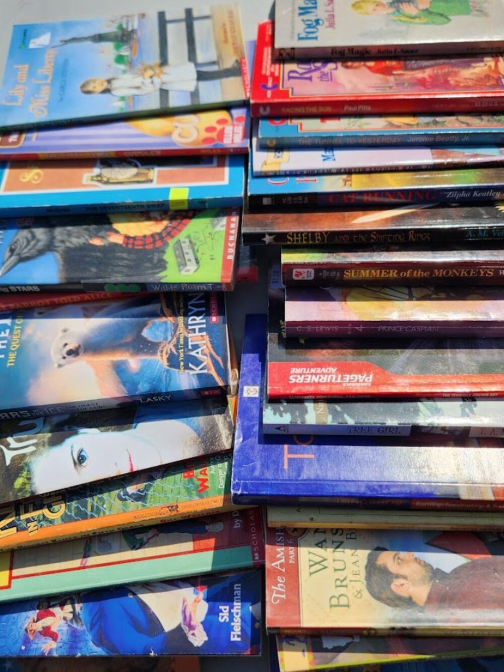 4 Book Bundle Lot Set Chapter Books Young Adult Literature Novels Mystery Books - Picture 11 of 16